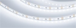 Лента RT-A120-8mm 12V Cool 8K (9.6 W/m, IP20, 2835, 5m) (Arlight, 9.6 Вт/м, IP20) 013239(2) - фото 100388