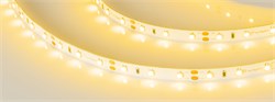 Лента RT-A60-8mm 12V Yellow (4.8 W/m, IP20, 2835, 5m) (Arlight, Открытый) 010521(2) - фото 100869