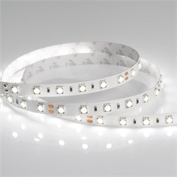 Лента RT 2-5000 24V Day5000 2x (5060, 300 LED, CRI98) (Arlight, 14.4 Вт/м, IP20) 021423(1) - фото 101394