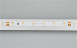 Лента RT 2-5000 24V Day4000 (3528, 300 LED, CRI98) (Arlight, 4.8 Вт/м, IP20) 021413-1 - фото 101861