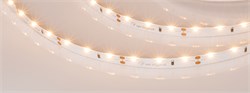 Лента RS 2-5000 12V Warm2700 (3014, 60 LED/m, LUX) (Arlight, 4.8 Вт/м, IP20) 024448 - фото 102416