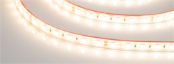 Светодиодная лента герметичная RTW-PFS-B60-13mm 24V Warm3000 (14.4 W/m, IP68, 5060, 5m) (Arlight, -) 033788 - фото 102577