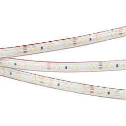Светодиодная лента герметичная RTW-PS-A60-10mm 12V Warm3000 (4.8 W/m, IP67, 2835, 5m) (Arlight, 4.8 Вт/м, IP67) 021101(2) - фото 103220