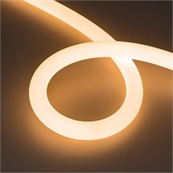 Лента герметичная MOONLIGHT-TOP-FP-X1088-D25mm 24V Warm2300 (20 W/m, IP65, 5m, wire x1) (Arlight, Вывод прямой, 3 года) 038865 - фото 104597