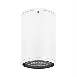 Светильник LGD-FORMA-SURFACE-R90-12W Day4000 (WH, 44 deg, 230V) (Arlight, IP54 Металл, 3 года) 037259 - фото 107404