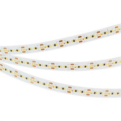 Лента MICROLED-M300-10mm 24V Day5000 (21.6W/m, IP20,2216, 5m) (Arlight, 21.6 Вт/м, IP20) 023588(1) - фото 108441