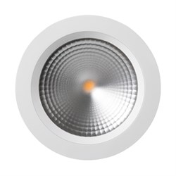 Светодиодный светильник LTD-187WH-FROST-21W Day White 110deg (Arlight, IP44 Металл, 3 года) 021496