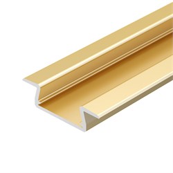 Профиль MIC-FS-2000 ANOD GOLD LIGHT (Arlight, Алюминий) 041824 - фото 109578