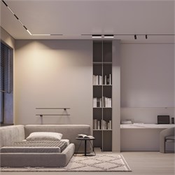 Трек встраиваемый MAG-ORIENT-TRACK-2653-STR-D-2000 (BK) (Arlight, IP20 Металл, 3 года) 041292 - фото 113076