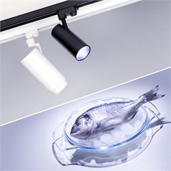 Светильник LGD-GERA-4TR-R74-20W Cool SP7500-Fish (BK, 24 deg, 230V) (Arlight, IP20 Металл, 3 года) 032467 - фото 117172