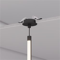 Чаша потолочная встраиваемая SPX-CANOPY-R60-C4 (WH) (Arlight, Металл) 046009 - фото 121147