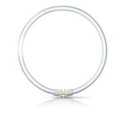 Лампа TL5 CIRCULAR SUPER 80 PRO 22W/ 840 2GX13  d16xD225  PHILIPS  - 45н3564н636 - фото 12189