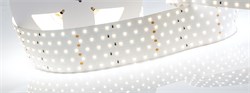 Лента RT 2-2500 24V White6000 5x2 (2835, 875 LED, LUX) (Arlight, 36 Вт/м, IP20) 019082(B) - фото 123868