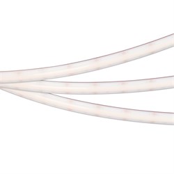 Лента герметичная RTW-PSW-A304-12mm 24V Warm2700 (25 W/m, IP67, 2835, 5m) (Arlight, 5 лет) 045225 - фото 129324