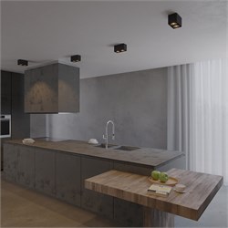 Светильник SP-CUBUS-S195x100-2х8W Day4000 (BK, 45 deg, 230V) (Arlight, IP20 Металл, 3 года) 036056 - фото 142850