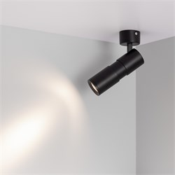 Светильник SP-ARTEMIS-SURFACE-FLAP-R55-12W Day4000 (WH, 8-80 deg, 230V) (Arlight, IP20 Металл, 5 лет) 051787 - фото 151131