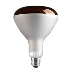 Лампа GE  250R/IR/R/E27 240V красная 91391 - фото 16036