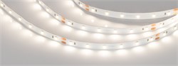 Лента NT-A60-8mm 24V Day4000 (4.8 W/m, IP20, 3528, 5m) (Arlight, Открытый) 033519-3 - фото 170005