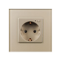 Розетка электрическая с Zigbee управлением SCT-OMALI-EUZB1-PL-GD (240V, 16A, Zigbee) (Arlight, -) 050218 - фото 171080