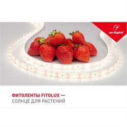 Буклет FITOLUX. 2022 (Arlight, -) 038910(22) - фото 175082
