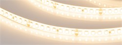 Лента герметичная RTW-SE-A160-8mm 24V Warm3000 (12 W/m, IP65, 5m) (Arlight, 12 Вт/м, IP65) 038720 - фото 175968