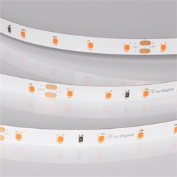 Лента RT-A60-8mm 24V Ruby (4.8 W/m, IP20, 5m) (Arlight, -) 055374-1 - фото 176273