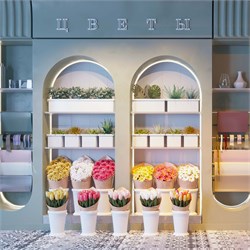 Лента герметичная HALO-SIDE-A160-10x17mm 24V Day4000 (10 W/m, IP67, 5m, wire x1) (Arlight, Вывод прямой, 3 года) 053369 - фото 180875