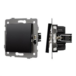 Механизм выключателя одноклавишный проходной SWT-MKP1-PL-BK-V (250V, 10A) (Arlight, -) 049872 - фото 182788