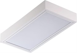 TL218 OL накладной, 620х310, опаловый рассеиватель, ЭмПРА (класс энергосбережения EEI=B2) Helvar, Philips и т.п. 10041 - фото 18281