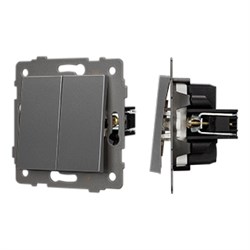 Механизм выключателя двухклавишный непроходной SWT-MK02-PL-GR-V (250V, 10A) (Arlight, -) 049889 - фото 182928