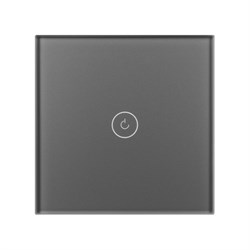 Выключатель сенсорный SWT-OMALI-S01-ZB-GR (250V, 10A, Zigbee) (Arlight, Стекло) 050036 - фото 182953