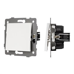 Механизм выключателя одноклавишный самовозвратный SWT-MKR1-PL-WH-V (250V, 10A) (Arlight, -) 049879 - фото 182963