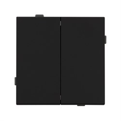 Механизм выключателя двухклавишный непроходной SWT-TENDO-MK02-SFPL-BK (230V, 10A) (Arlight, -) 054544