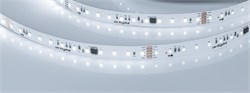 Лента DMX-A96-12mm 24V White6000-PX12 (14 W/m, IP20, 5m) (Arlight, -) 058171