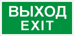 ПЭУ 011 «Выход/Exit» (240х125) PC-M /комплект, 2шт./ 2502000930 - фото 19294