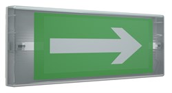 Светильник ANTARES 4223-4 LED   аварийный 4501006400 - фото 20679