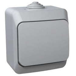 ЭТЮД IP44 О/У ВЫКЛЮЧАТЕЛЬ с самовозвратом 10 АХ.СЕРЫЙ. Россия KA10-041C - фото 23123