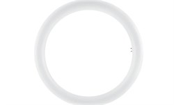 Лампа SubstiTUBE T9 LED32/865  20W  6500K  2000Lm  d298  30000h  G10q -   Osram 4058075135505 - фото 23390