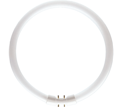Лампа TL5 CIRCULAR SUPER 80 PRO 40W/ 830 2GX13  d16xD300  PHILIPS  - 927965583013 - фото 23815