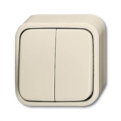 Выключатель 2-клавишный, для открытого монтажа, IP44, серия Busch-Duro 2000 AP, цвет слоновая кость (2CKA001042A0639) ABB 2CKA001042A0639 - фото 26669