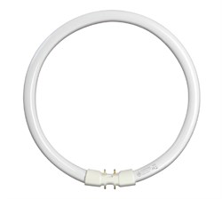 Лампа TU FC22W/T5/840 2GX13 - 93108435 - фото 27070