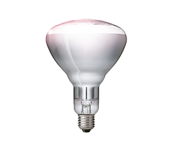 Лампа PHILIPS  IR250CH BR125 E27 230-250V  d125x173 прозрачная - 923212143801 - фото 27775