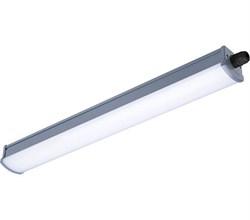 new WT066C NW LED16 L  600 CFW PSU  IP65 16,5W 4000K 1600lm   600х68х56 - LED PHILIPS свет-к 911401824282 - фото 28400