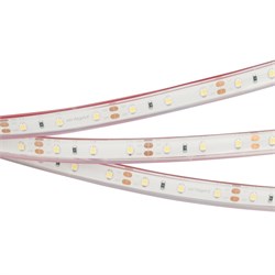 Лента RTW 2-5000PGS 12V White (3528, 300 LED, LUX) (arlight, 4.8 Вт/м, IP66) 013529 - фото 31918