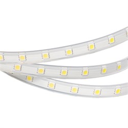 Лента ARL-W5060PG-50-220V Cool 9000K (500 LED, 10m) 2000000244167 - фото 32903