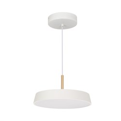 Светильник SP-ELEGANT-R300-17W Warm3000 (WH, 120 deg, 230V) (arlight, IP20 Металл, 3 года) 033914 - фото 33570