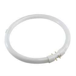 Лампа GE FC22W/T5/840 2GX13 - 75720 - фото 34053