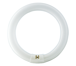 Лампа TL-E 22W/54-765  G10q 216mm 1050Lm 6200K  PHILIPS  - 928026205460 - фото 34505