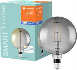 Лампа SMART+ Filament Globe Dimmable 37 6 W/2700K E27 4058075486188 - фото 34860