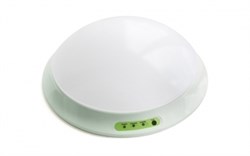 Pelastus PL CL 1.0 Светильник аварийный потолочный светодиодный. Батарея:Ni-Cd, 1.2В 0.8А/ч, 10W, 325*105 мм PL CL 1.0 светодиодный - фото 40952